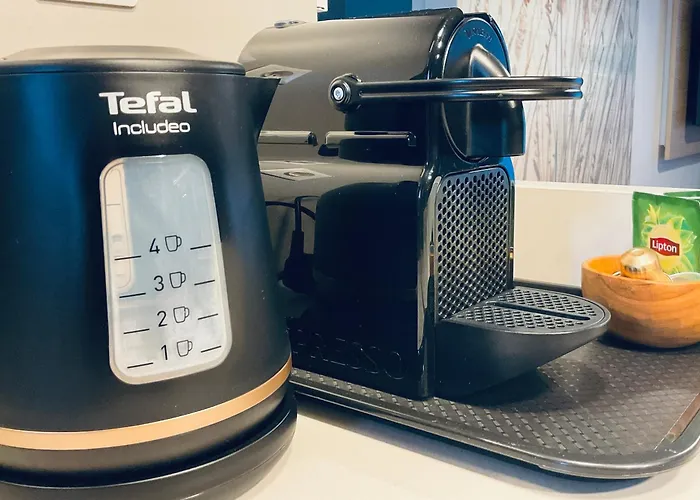 Reves Du Sud A Pied Et Tropez V *